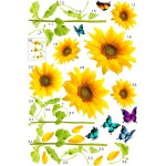 Napraforgó és pillangók - Színes matrica csomag